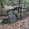 One of the lovely sections of stream along the trail, cool in the summer and freezing in the winter