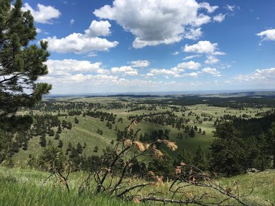 Looking east from Rankin Ridge Trail