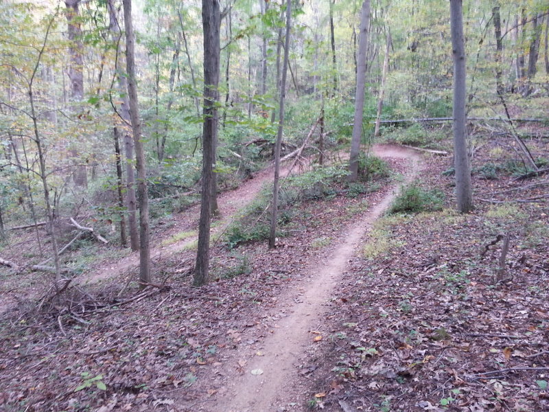 Nicely built berm.