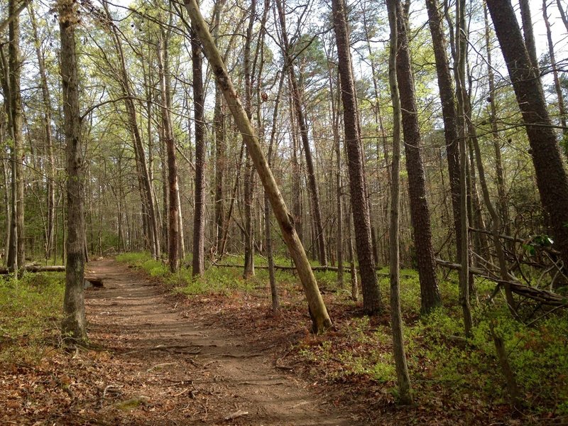 Looking Up Rails to River Trail Past the Soccer Fields