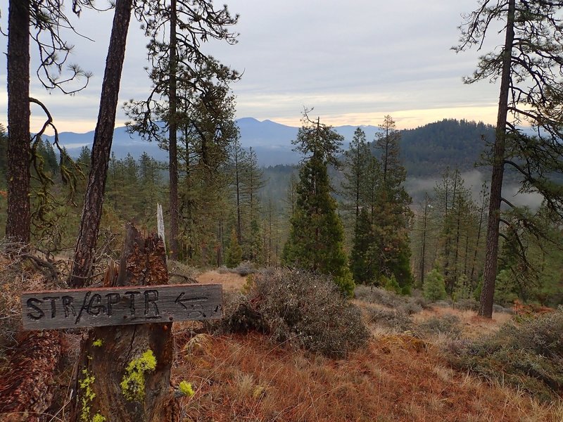 Near where the Stringer Gap Trail meets the Bolt Mountain Trail.