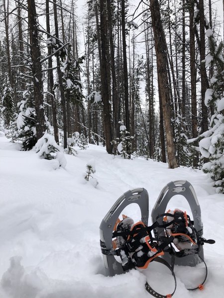 View of the trail and snow depth