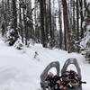 View of the trail and snow depth