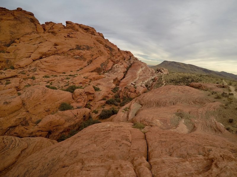 Red Rock Canyon is on the top 10 climbing destinations in the U.S., it is easy to see why.