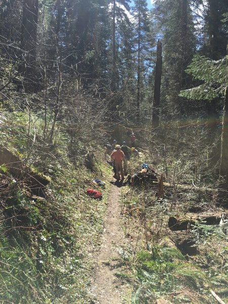 Blues Crew clearing trail