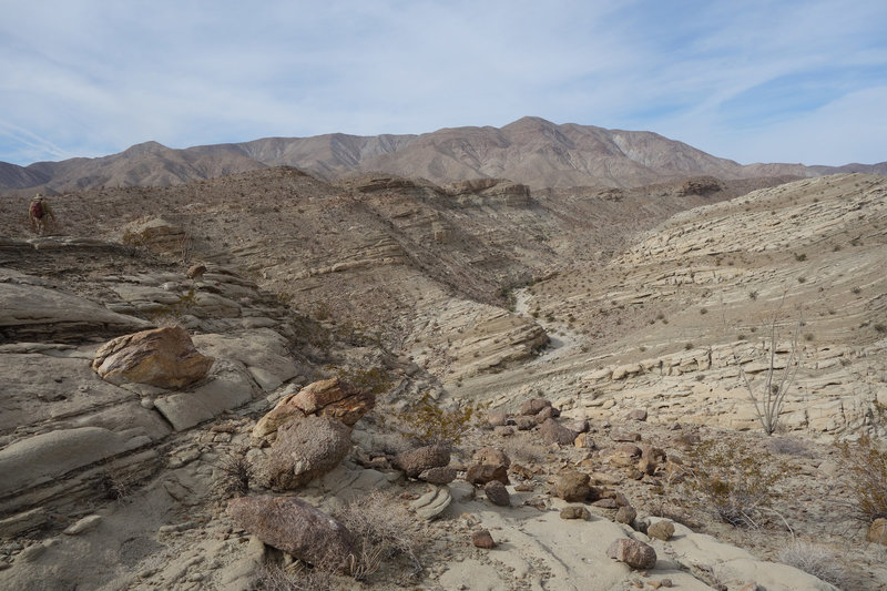 View into Lyceum Wash