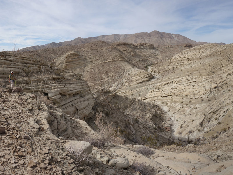 Hiker sizing up Lyceum Wash