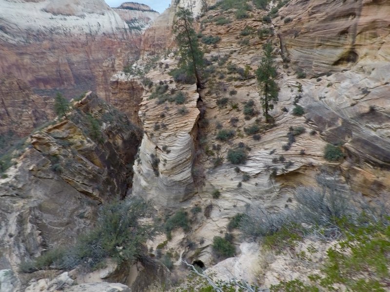 Looking NW from the trail.