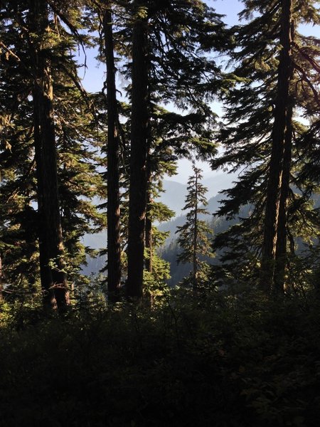 Beckler River Road