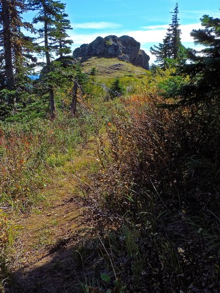 Heading down from our highpoint--and lunchspot