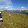 Crossing the alpine plateau