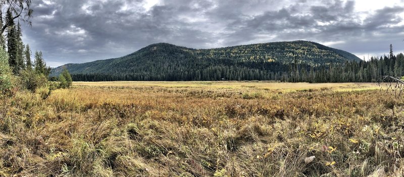 Hughes Meadows, Priest Lake area, Idaho