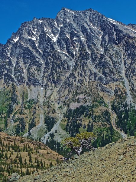 Leaving the view of Mt Stuart