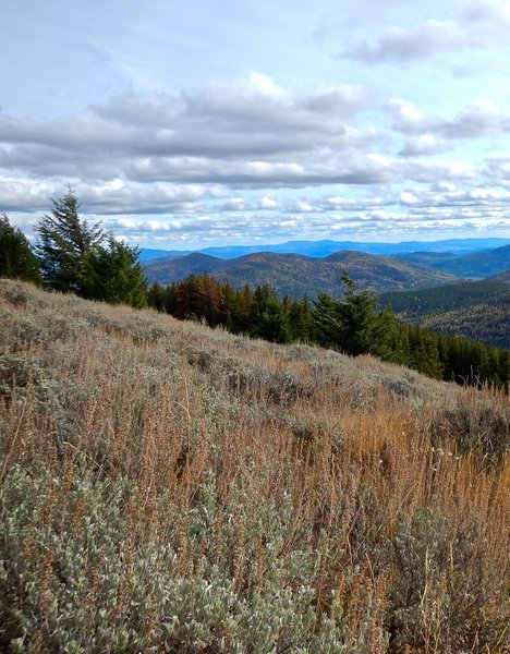 The start of Jungle Hill Trail