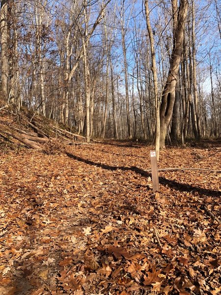 The Cross County Trail section of the loop has markers with "CCT" on them.