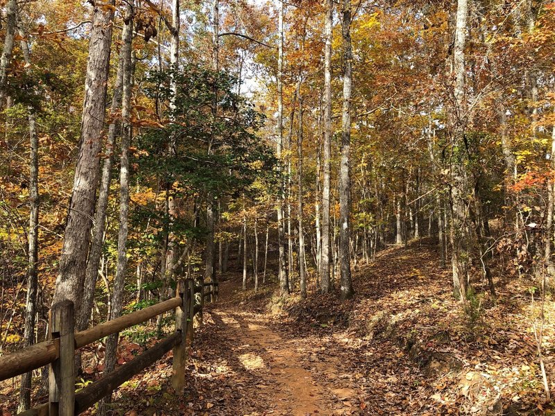 Walking through the Canyon Loop Trail itself.