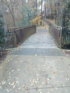 Foot Bridge over Rocky Branch