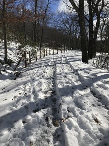 Snow covered carriage trail