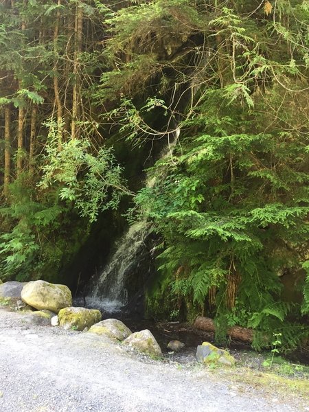 Small waterfalls and streams are just off the trail, offering an opportunity to refill (treatment recommended) or just cool off!