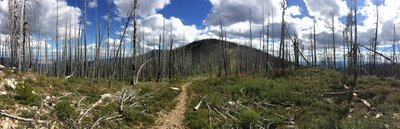 Looking back south at Starvation Mountain. Chunky rocky descent from summit to Blue Buck Ridge cutoff.