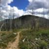 Looking back south at Starvation Mountain. Chunky rocky descent from summit to Blue Buck Ridge cutoff.