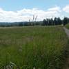 Steigerwald Lake National Wildlife Refuge