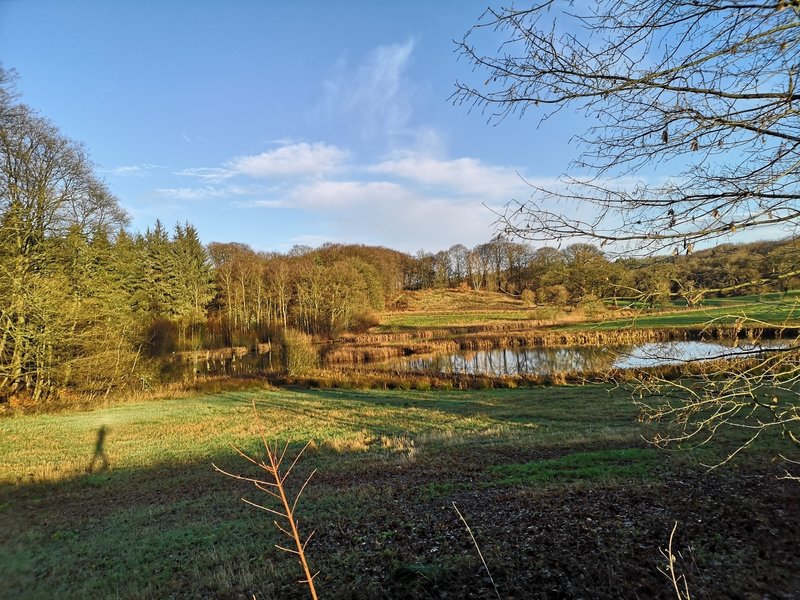 Sun over the little lake
