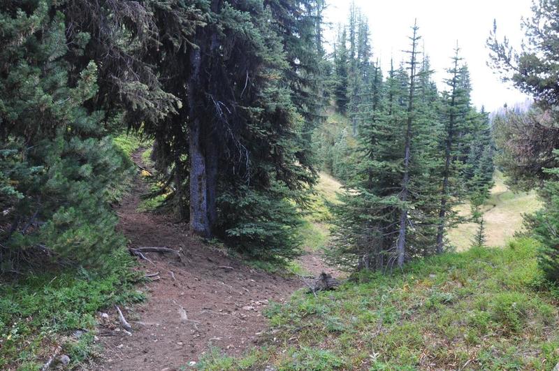 Junction with Quartz lake trail going west side of Sand Back ridge to whistler pass, hard to find