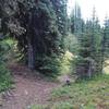 Junction with Quartz lake trail going west side of Sand Back ridge to whistler pass, hard to find