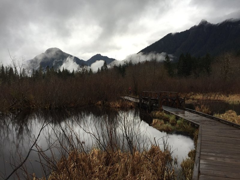 Big Four Ice Caves - Washington