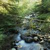 Mountain Loop Highway's Ice Cave Trail