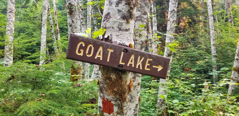 goat lake
