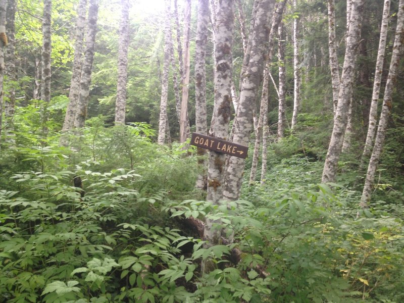 Goat Lake