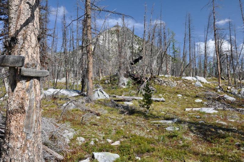 Trail to Rock Creek