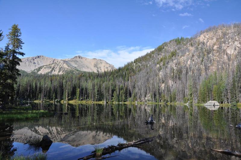 Lower fox lake