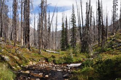 Water near dawn lake (not much running at lake)