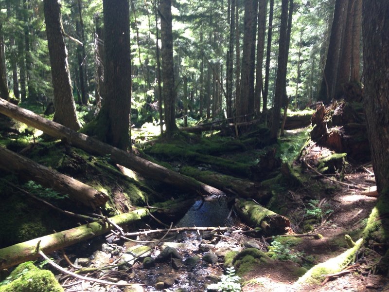 Boulder Lake