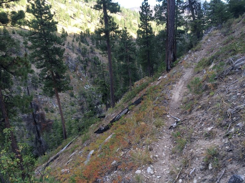 Coming down the lower section of Blue Buck Ridge. Watch out, It's really steep and narrow!