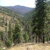 Facing south from the trail along the descent.