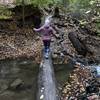 Fun and easy stream crossing along the Melvin C. Hazen trail, Nov. 2018.