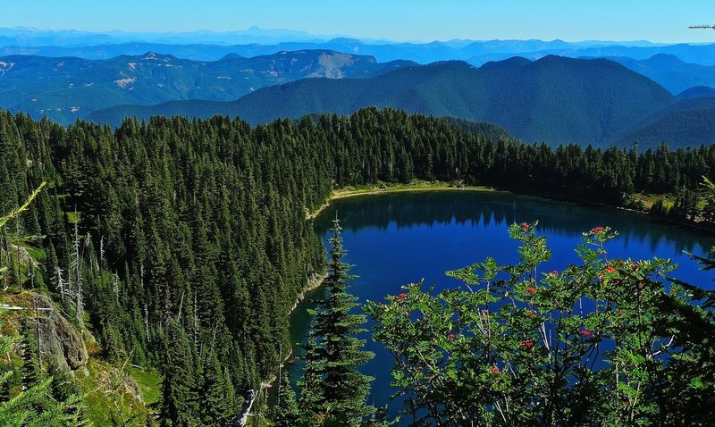 Mountain Ash and Summit Lake