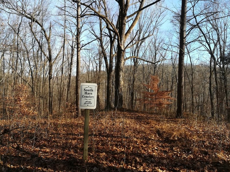 A small cemetery dedicated to the Hays on Grubb Ridge Trail. Grave markers are near the thicker trees behind the sign.