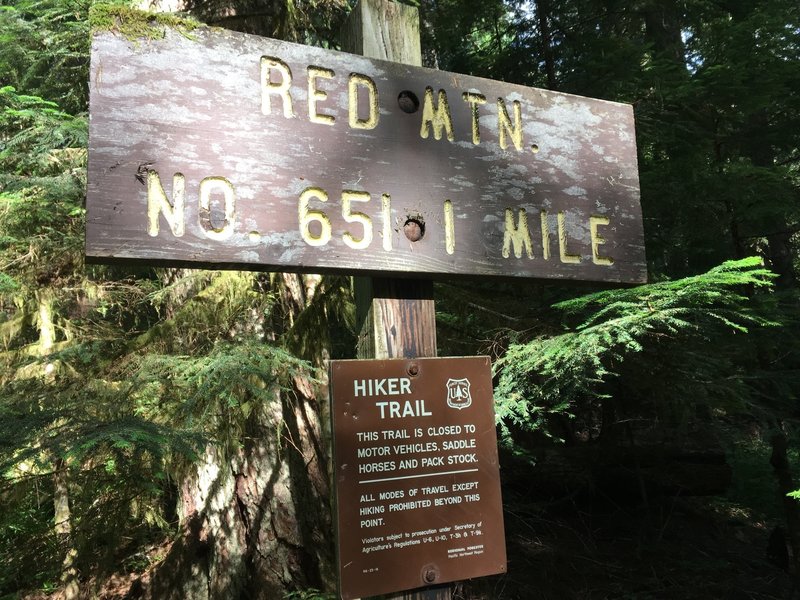 Trail sign to the Red Mountain Lookout, where the official trail stops and a bootpath continues to the summit of Painted Mountain