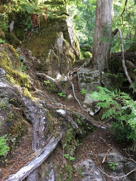 Impression of the small scramble section at 3000ft. At the top on the rock is the 'handle' shown in other trip reports.