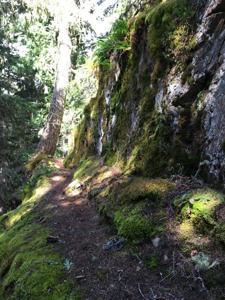 Once you hit the rocky section at 3000ft, the trail splits, and this ledge to the left looks very tempting. However, going right is easier.