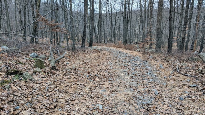 The Lake Hopatcong Trail turns doubletrack (or wider) in the Hopatcong area.