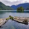 packwood lake