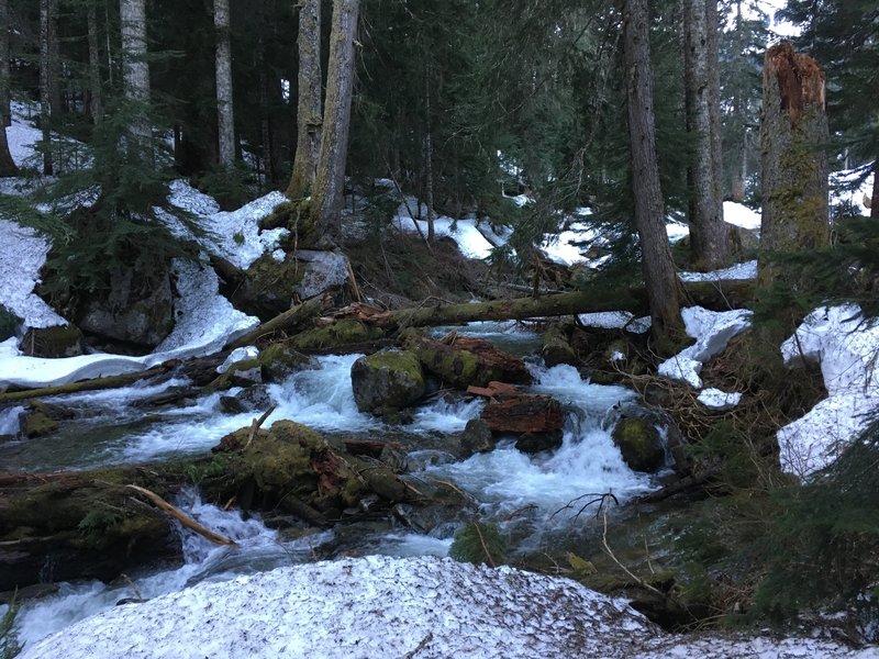 Surprise Creek was pretty full on this warm spring day