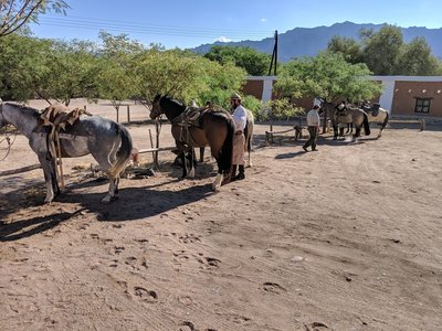 Saddling up at El Carmen