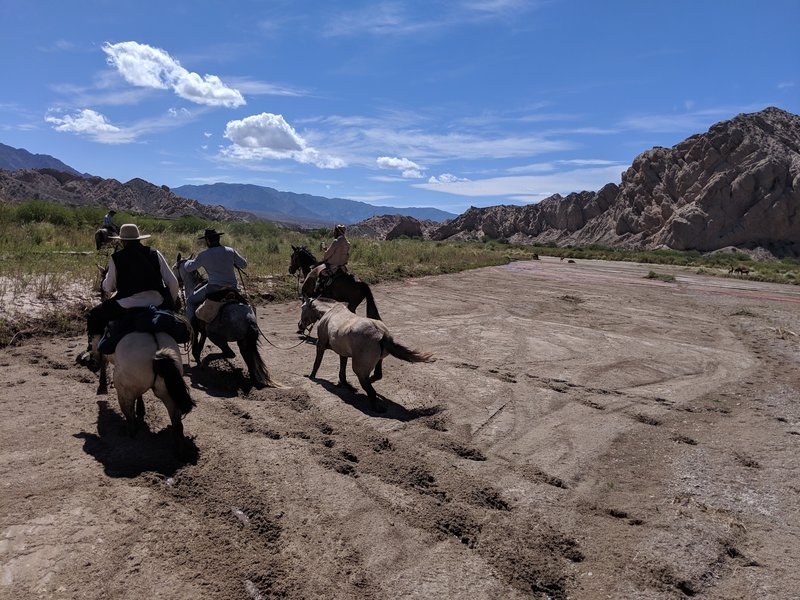 Quick mud in the Calchaquí River.